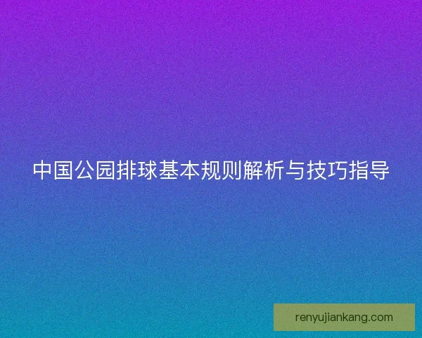 中国公园排球基本规则解析与技巧指导